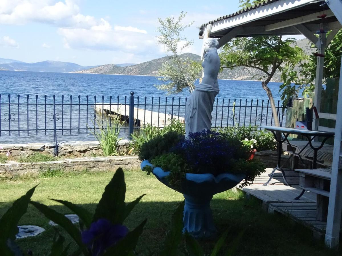 Blue Dreams Guest House Almiropotamos Exterior photo